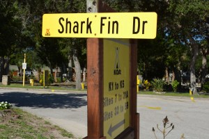 Shark Fin Drive at St Augustine KOA