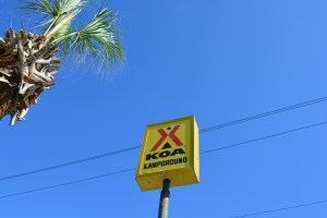 Yellow KOA Sign Against a Blue Sky with a Palm Tree