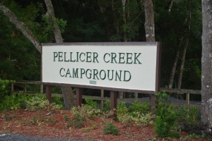 Pellicer Creek Campground Sign
